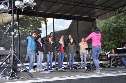 Festa dl Paisc d'Antermëia 2015 (13)